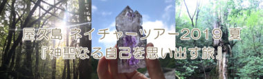 屋久島 ネイチャーツアー2019 夏『神聖なる自己を思い出す旅』