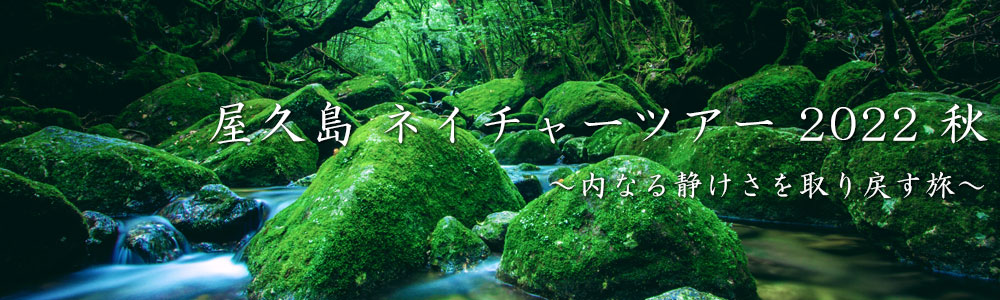 屋久島 ネイチャーツアー2022『内なる静けさを取り戻す旅』